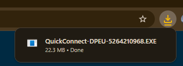 chrome download view